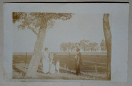 PH - Famille Avec Enfants Nourrissant Une Vache. - Anonyme Personen