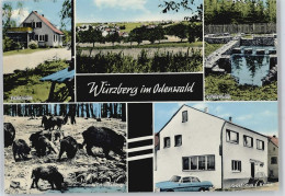 50402411 - Wuerzberg , Odenw - Michelstadt