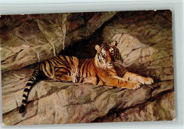 12093011 - Zoo Hagenbeck Eigenverlag - Tiger - Autres & Non Classés