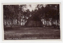 39078511 - Bispingen Mit Schafstall Am Borsteler - Berg Ungelaufen  Gute Erhaltung. - Fallingbostel