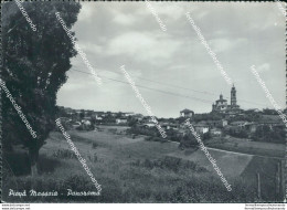 Bu280 Cartolina Piova' Massaia Panorama Provincia Di Asti Piemonte - Asti
