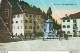 Bu333 Cartolina Pieve Di Cadore Hotel Progresso Provincia Di Belluno Veneto - Belluno