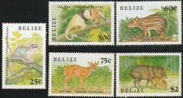 THEMATIC FAUNA:  SMALL ANIMALS OF BELIZE.  FOUR EYED OPOSSUM, ANTS BEAR, GIBNUT, MAZAMA, PECCARY   -  BELIZE - Autres & Non Classés