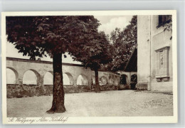 10039211 - St. Wolfgang Im Salzkammergut - Autres & Non Classés