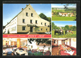 AK Pressath, Restaurant Pension Pony-Hof, Ponys Auf Der Weide, Speisesaal  - Sonstige & Ohne Zuordnung