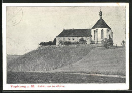 AK Vogelsburg A. M., Ansicht Von Der Ostseite  - Sonstige & Ohne Zuordnung