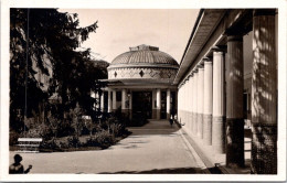 22-5-2024 (5 Z 46) B/w - OLDER - France - Therme De Contrexeville - Contrexeville