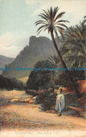 R111326 El Kantara. Dans L Oued. LL - Monde