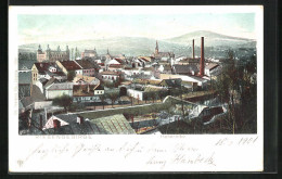 Lithographie Hohenelbe / Vrchlabi, Blick über Die Stadt  - Tschechische Republik