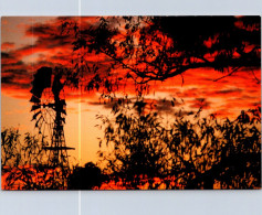 22-5-2024 (5 Z 48) Australia - Bush Sunset (2 Postcards) 1 With Windmill - Molinos De Viento