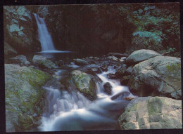 AK 212466 CHINA - Thungpu Hot Springs At Shuili - China