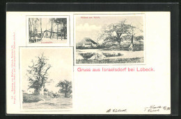 AK Israelsdorf Bei Lübeck, Forsthalle, Eichen Am Teich, Ortspartie  - Lübeck