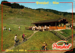 73947909 Fusch_Grossglocknerstrasse_AT Ponyhof Alm - Other & Unclassified