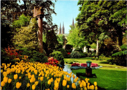 22-5-2024 (5 Z 50) Germany - Wiesbaden Cathedral & Flowers - Eglises Et Cathédrales