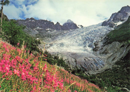 CPSM Le Glacier Du Trient    L2930 - Sonstige & Ohne Zuordnung