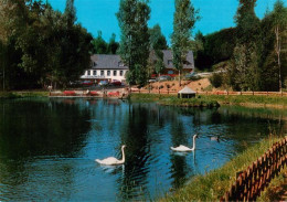 73906314 Manderscheid Eifel Hotel Café Heidsmuehle Partie Im Hotelgarten Schwane - Manderscheid