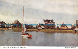 R110809 South Walsham Broad. Norfolk Broads. Salmon. B. Hopkins - Welt