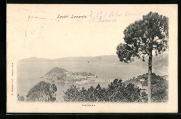 Cartolina Sestri Levante, Panorama  - Andere & Zonder Classificatie