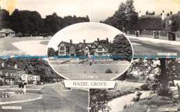 R112516 Hazel Grove. Multi View. Lilywhite. RP. 1964 - Wereld