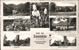 72198748 Zavelstein Ruine Bad Teinach  Bad Teinach-Zavelstein - Other & Unclassified