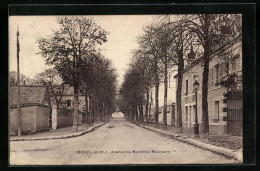 CPA Mer, Avenue Du Marechal Maunoury  - Mer
