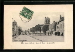 CPA Mer, Route De Blois, Le Petit Mail  - Mer