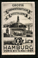 AK Hamburg, Grosse Landwirtschaftliche Ausstellung 1929, Denkmal, Uferpartie Mit Segelbooten, Dampfer  - Exhibitions