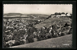 AK Lenzburg, Ortsansicht Mit Kirche Von Anhöhe  - Lenzburg