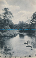 R111548 Old Postcard. Lake And Swans - Welt