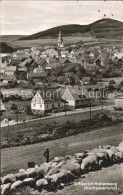 72187754 Hallenberg Ortsansicht Luftkurort Schafherde Hallenberg - Sonstige & Ohne Zuordnung