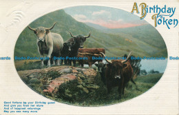 R110966 Greeting Postcard. A Birthday Token. Bulls - Mundo