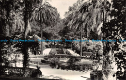 R111587 Old Postcard. At The Park - Mundo