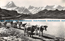 R112669 Bachalpsee Am Faulhorn Und Schreckhorn. Photoglob. 1959 - Monde