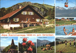 72186521 Rettenberg Oberallgaeu Kammeregg Gruentengipfel Alpenrosenbluete Alphor - Autres & Non Classés