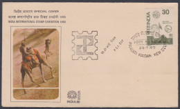 Inde India 1980 Special Cover PCI Day, International Stamp Exhibition, Camel Post, Postman, Desert, Pictorial Postmark - Brieven En Documenten