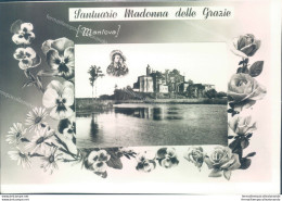 P40 Cartolina Mantova Citta'  Mantova Santuario Madonna Delle Grazie - Mantova