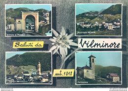 O556 Cartolina  Saluti Da Vilminore Provincia Di Bergamo - Bergamo