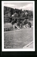 AK Bad Driburg, Parkschwimmbad Mit Falkenhöh'  - Bad Driburg