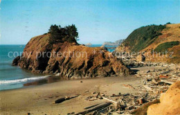 72740745 Oregon_US-State Battle Rock Oregon Coast - Other & Unclassified