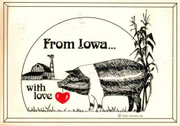 72739900 Iowa_US-State Farmland Schwein Herz Zeichnung Kuenstlerkarte - Sonstige & Ohne Zuordnung