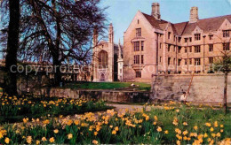 72739163 Cambridge Cambridgeshire Daffodil Time Cambridge - Altri & Non Classificati
