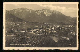 AK Puchberg Am Schneeberg, Panorama Mit Gebirgswand  - Other & Unclassified