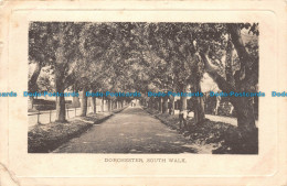 R111807 Dorchester. South Walk. Wrench. 1905 - Mundo