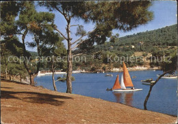 71841972 Istanbul Constantinopel Prinzeninsel Segelboot  Istanbul - Turquie