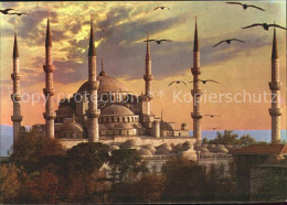 71841914 Istanbul Constantinopel Sultanahmet Blaue Moschee Moewe Istanbul - Türkei