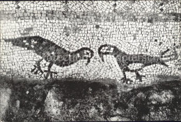 71835018 Evron Israel Detail Of Mosaic Pavement In 5th Century Evron Israel - Israël