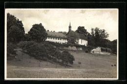 AK Heidelberg, Abtei Neuburg, Südseite Mit Treppenaufgang  - Heidelberg