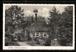 AK Breklum /Schlesw., Blick Auf Ein Haus Mit Storchennest Auf Dem Schornstein  - Otros & Sin Clasificación