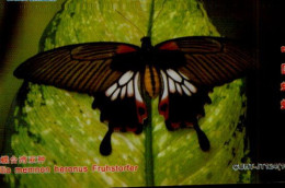 TELECARTE ETRANGERE....PAPILLON.. - Butterflies