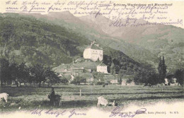 13977900 Buchs__Buchs-Werdenberg_SG Schloss Werdenberg Mit Margelkopf - Otros & Sin Clasificación